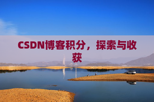 CSDN博客积分,探索与收获